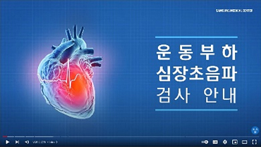 운동부하 심장초음파 검사