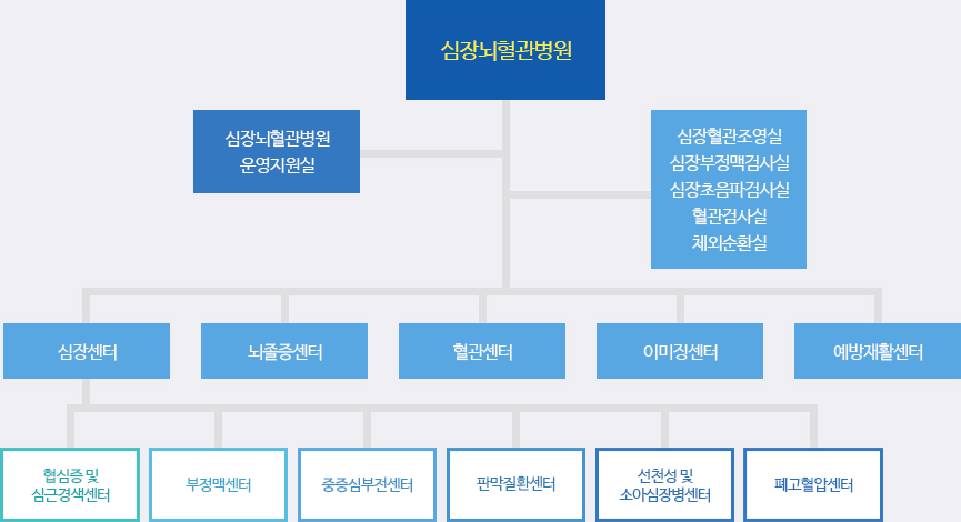 심장뇌혈관병원 조직도