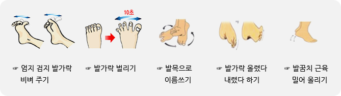 비행기 여행시 운동법