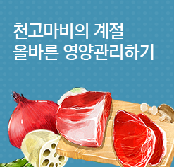 올바른 영양관리하기