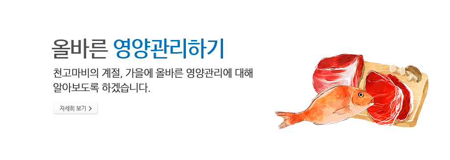 올바른 영양관리하기 - 천고마비의 계절, 가을에 올바른 영양관리에 대해 알아보도록 하겠습니다.알아보도록 하겠습니다.