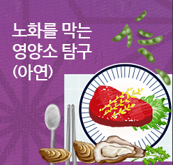 노화를 막는 영양소 탐구(아연)