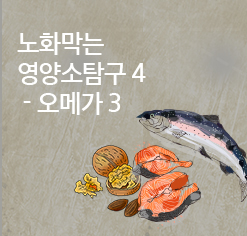 노화막는 영양소탐구 4 - 오메가3