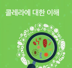 콜레라에 대한 이해